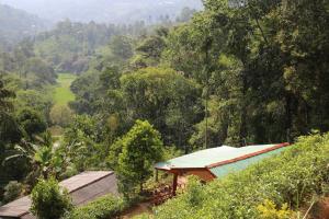 公寓周边自然景观