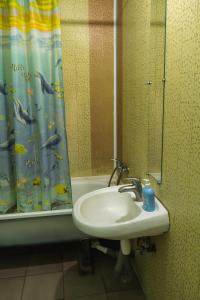 een badkamer met een wastafel en een douchegordijn bij Panorama-hostel in Kiev