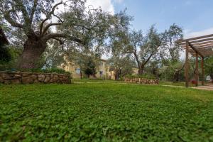 a park with a tree and a stone wall at House Christie in Chrysi Ammoudia