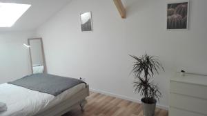 a white bedroom with a bed and a plant at Maison moderne proche lac et plage in Léon +8 photos