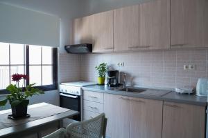 a kitchen with wooden cabinets and a sink and a table at InGreen apartment in Potamiá