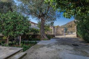 a tree in front of a building with a fence at Holiday home Marko - 70m from sea in Orebić