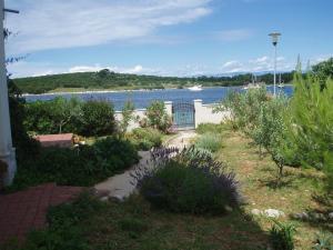 a garden with a view of a body of water at Apartment Blue - right at the beach in Ilovik