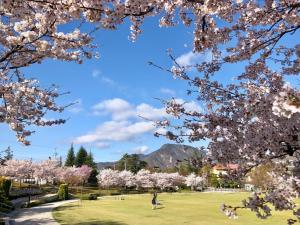 Fotografie z fotogalerie ubytování 外国人専用の มิตรภาพFriendship ゲストハウス Backpackers Dorms Miwa v destinaci Nagano
