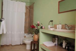 Bilik mandi di Hotel Posada Colchagua