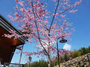 Aed väljaspool majutusasutust Ming Yang B&B