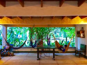 two people in hammocks in a room with a large window at Tasty Dayz Hostel in Puerto Viejo