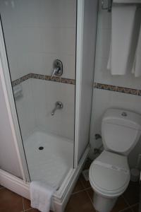 a bathroom with a shower and a toilet at Scala Nuova Annex in Cesme