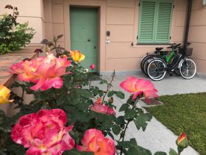 a group of pink flowers in front of a house at Appartamento "Corte Ceci" in Lucca