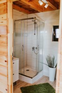 eine Duschkabine im Bad mit grünem Teppich in der Unterkunft Sielanka Mazurska in Lepaki Wielkie
