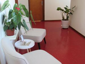 Gallery image of Alexandris Hotel in Spetses