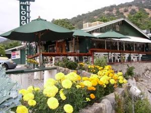 a restaurant with yellow flowers in front of a building at The Gateway Restaurant & Lodge in Three Rivers