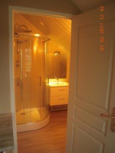 a bathroom with a shower and a sink at 54 AV ROGERS MARTIN DU GARD in Bellême