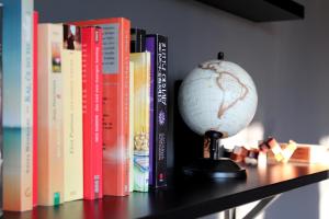 un globo sentado en un estante junto a los libros en Apartma Vita, en Dobrovo