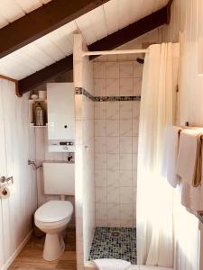 ein Badezimmer mit Toilette und Dusche in der Unterkunft Ferienhaus Achtern Diek in Emmelsbüll-Horsbüll + 22 Fotos
