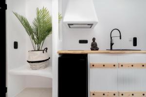 Kuchyňa alebo kuchynka v ubytovaní Portara Seaside Luxury Suites