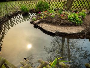 Billede fra billedgalleriet på Au ruisseau de Belle Isle i Echinghen + 18 billeder