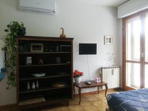 een woonkamer met een boekenplank en een tv bij La Terrazza in Vaglia