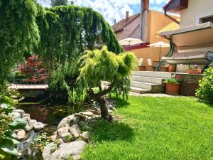 a tree in the middle of a pond in a yard at Cristi's Rooms - Pensiune in Oradea
