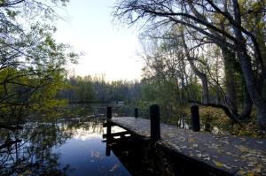 a dock on a body of water with trees at Alojamientos la Abuela in Rascafría