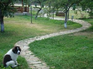 Billede fra billedgalleriet på Pensiunea Agroturistica Cristal i Suceviţa + 44 billeder