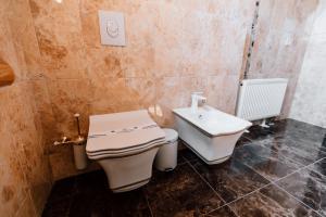 a bathroom with a toilet and a sink at Khan-Chinar Hotel in Dnipro
