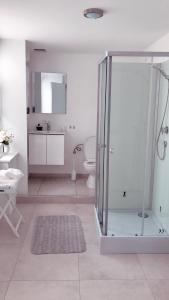 uma casa de banho com uma cabina de duche em vidro e um WC. em Inga em Ypres