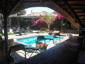 Chameleon Backpackers & Guesthouse tesisinde veya buraya yakın yüzme havuzu