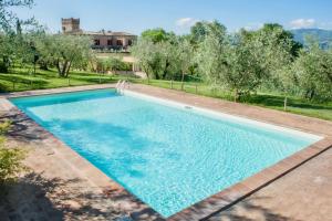 an overhead view of a swimming pool in a backyard at Fonte Sala in Montefalco