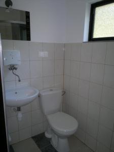 un bagno con un water e un lavandino di ZAKĄTEK ADELI a Mikoszewo Altre 30 foto