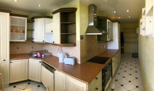 a kitchen with white cabinets and brown counter tops at Apartmán Elizabeth in Cheb