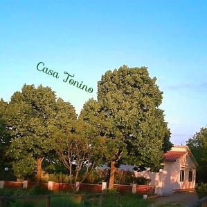 un cartello che legge casa tomino davanti agli alberi di Casa Tonino a Pisticci