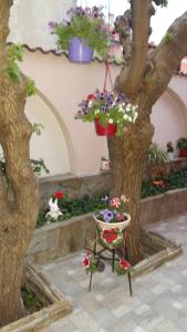 Zahrada ubytování Family Hotel Bulgaria