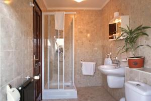 La salle de bains est pourvue d'une douche, de toilettes et d'un lavabo. dans l'établissement Korona Pension and Restaurant, à Hévíz