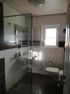 ein Bad mit einer Dusche, einem Waschbecken und einem WC in der Unterkunft Bella Casa in Laufenburg