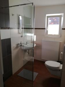 ein Bad mit einem WC und einem Waschbecken in der Unterkunft Bella Casa in Laufenburg