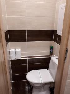 a bathroom with a toilet and two rolls of toilet paper at Apartment TT6 in Trnava +11 photos