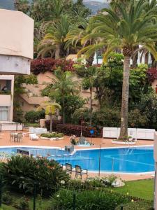 een uitzicht op een resort met palmbomen en een zwembad bij Estudio-Molino Blanco in Puerto de la Cruz