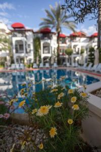 Бассейн в Mitos Apartments или поблизости