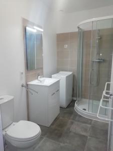 W łazience znajduje się toaleta, prysznic i umywalka. w obiekcie Gîte du mont de transet w mieście Thauron
