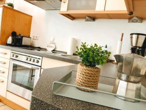 a kitchen counter with a plant in a basket on it at 100 Sekunden zum Strand: Schöne Wohnung auf Usedom in Ostseebad Karlshagen