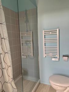 a bathroom with a shower and a toilet at Le Rayon de Soleil in Châtelaillon-Plage