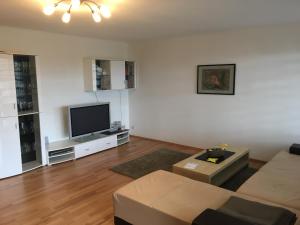 sala de estar con sofá y TV de pantalla plana en Ferienwohnung Tettnang, en Tettnang