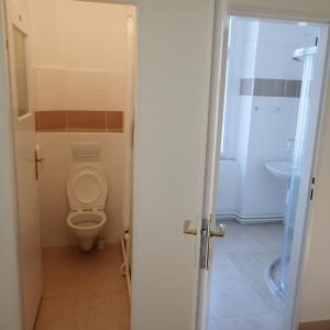 a bathroom with a toilet and a sink at Pension Prislin in Litoměřice