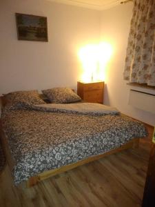 ein Schlafzimmer mit einem Bett und eine Kommode mit einer Lampe in der Unterkunft Leśniczówka Leśny azyl in Stanisławice