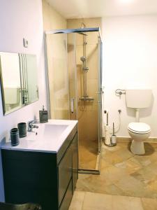 a bathroom with a shower and a sink and a toilet at Casa Visconde de Alcácer in Setúbal
