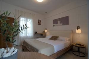 Fotografie z fotogalerie ubytování Nikoleta Studios Sifnos v destinaci Apollonia + 29 fotografií