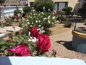 a garden with red roses and other flowers at Americas Best Value Inn and Suites -Yucca Valley in Yucca Valley