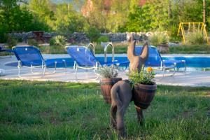 Zahrada ubytování Villa Bravic