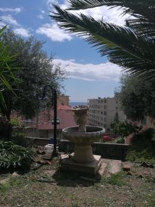 A garden outside b&b bellavista
